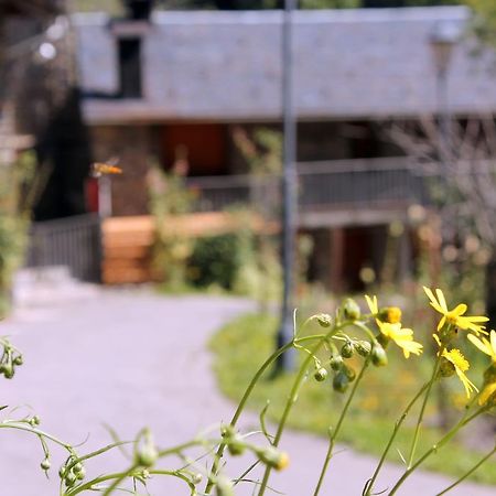 Apartaments Turistics Vilaro Llorts Kültér fotó